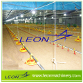 LEON series new designe poultry farm equipment for broiler and breeders